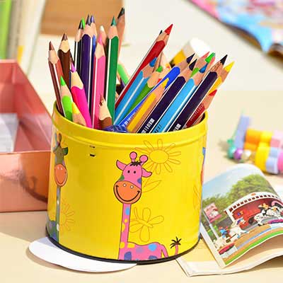 Thematic and integrated studies